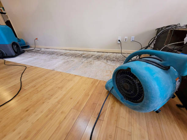 Professional Flood Damage Cleanup technician working in Walworth, WI